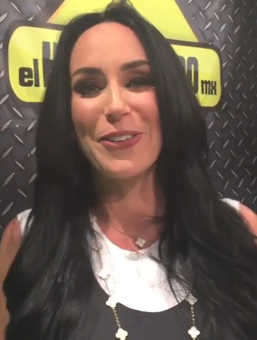 Inés Gómez Mont en 2015
