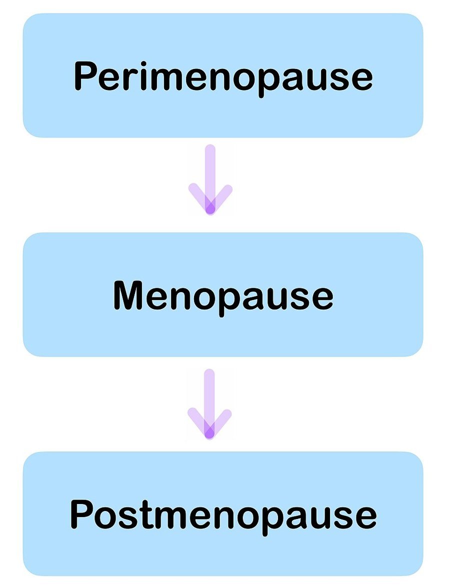 Diagrama de las etapas de la transición menopáusica: perimenopausia, menopausia y posmenopausia