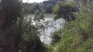 Texas reclama nueve islas del Río Bravo en la frontera con México: ¿qué pasó y por qué es tendencia?